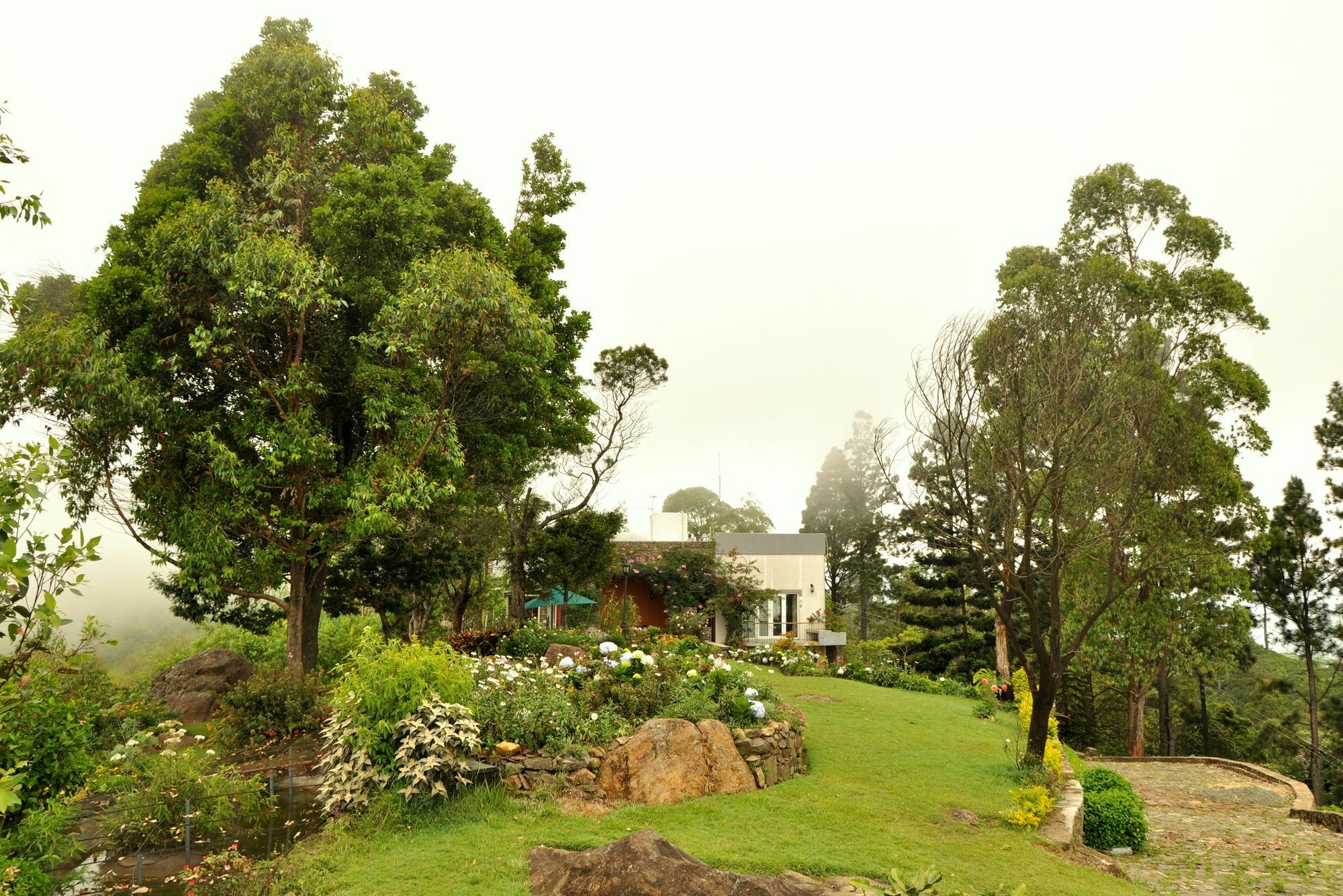 Clouds Holiday Bungalow Haputale Exteriér fotografie